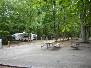 Site #51