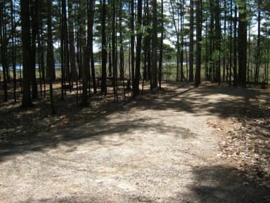 Campsite 6