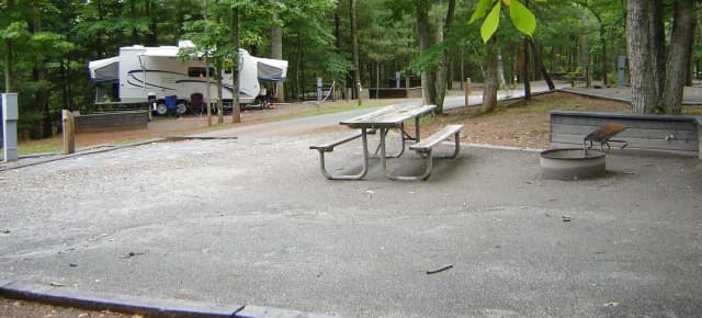 Site #51