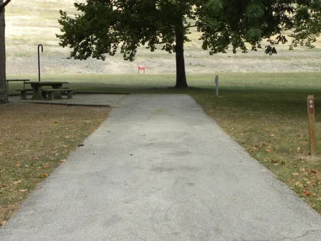B6