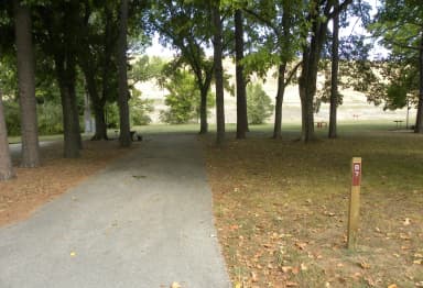 Site B07 at River Road Park