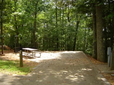 Site #53