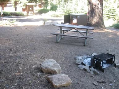 Site 75, Partial Shade