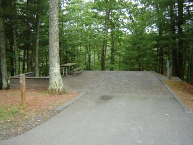 Site #54