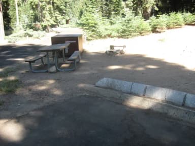 Site 78, No Generator Loop, Partial Shade
