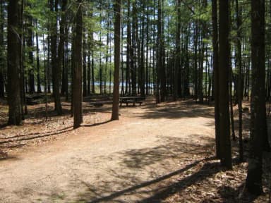 Laurel CG · Site 007 at Laurel Lake Campground