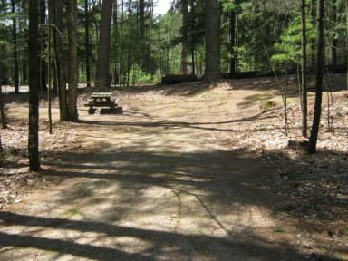 Campsite 8