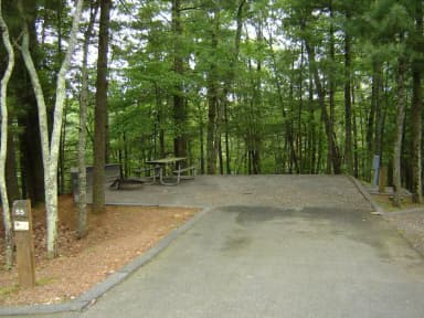 Site #55