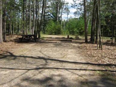Campsite 11