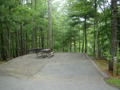 Site #56
