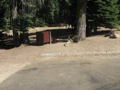 Site 81, no generator loop, partial shade