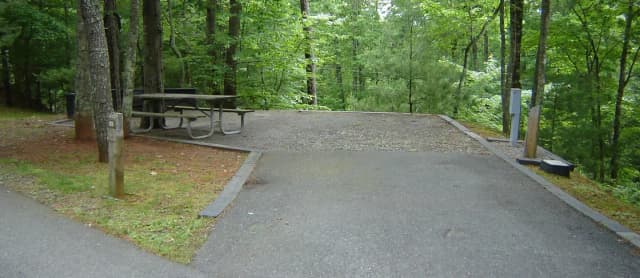 Site #59