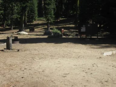 site 82, no generator loop, partial shade