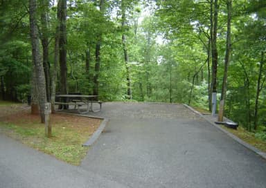 Site #59