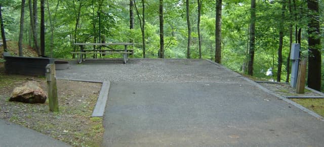 Site #61