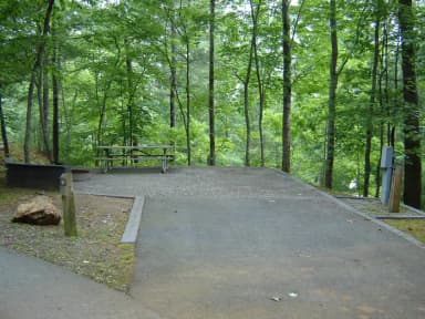 Site #61