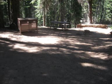 Site 84, no generator loop, shady