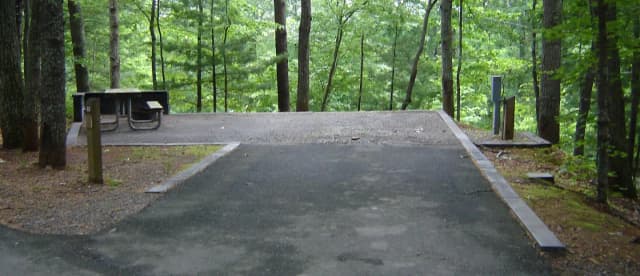 Site #62