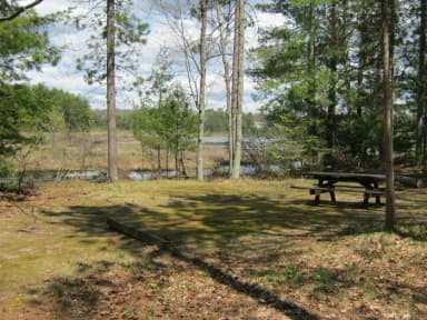 Campsite 12