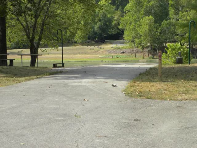 C10