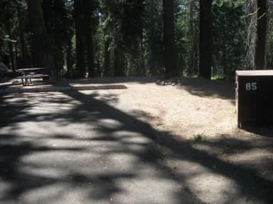 Site 85, no generator loop, partial shade