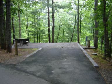 Site #62