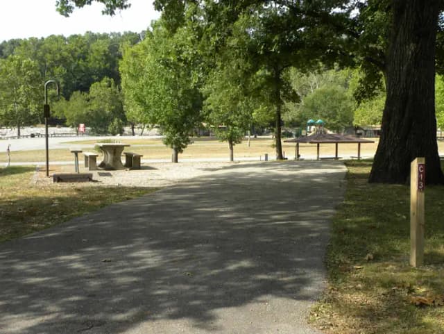 C13