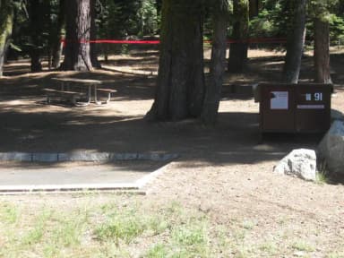Site 91, no generator loop, partial shade