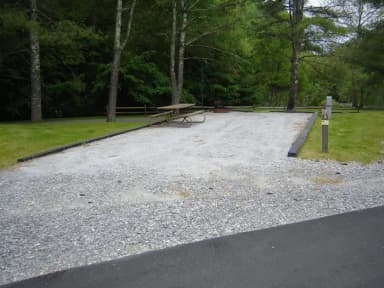 Site 3