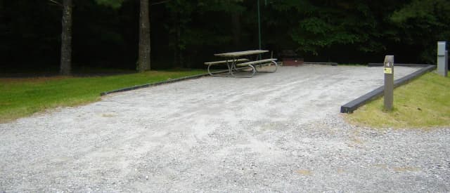 Site 4