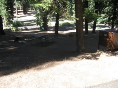 Site 96, no generator loop, partial shade