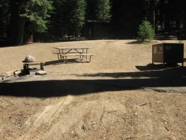 site 102, no generator loop, sunny
