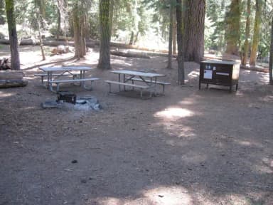 site 110, no generator loop, walk-in site, one vehicle, shady