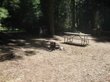 site 111, no generator loop, walk-in site, one vehicle, partial shade