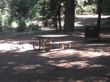 site 113, no generator loop, walk-in site, one vehicle, partial shade