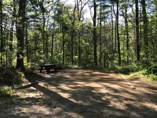Site 1