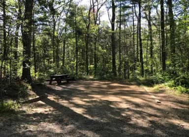 Loop A · Site 01 at West Thompson Lake Campground