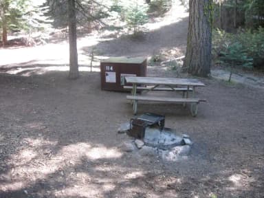 site 114, no generator loop, walk-in site, one vehicle, partial shade