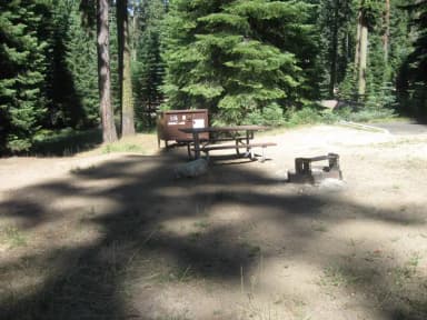site 115, no generator loop, no tent site, sunny