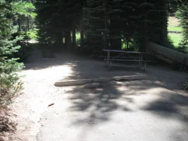 site 124, no generator loop, partial shade