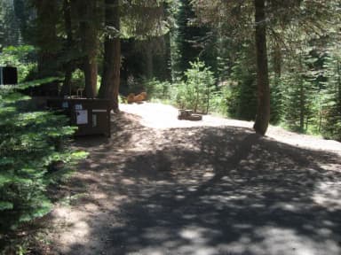 site 125, no generator loop, partial shade