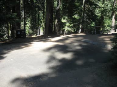site 126, no generator loop, partial shade