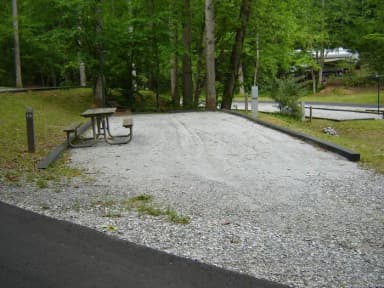 Site 15