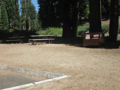 site 129, partial shade