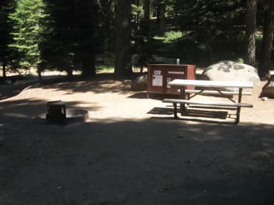 site 132, partial shade