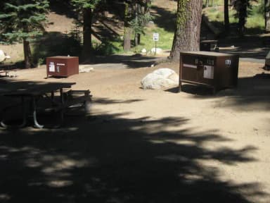 site 133, partial shade