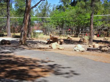 Picnic table, fire pit, and parking spot, Mather Campground