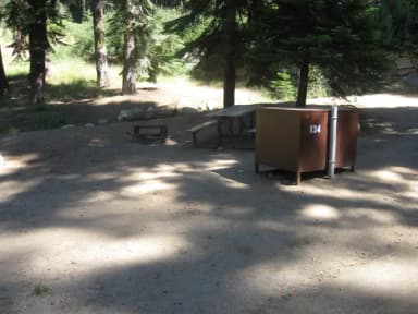 site 134, partial shade