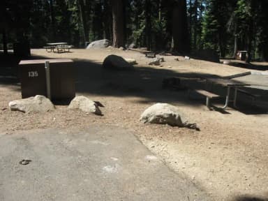 site 135, sunny