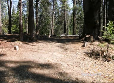 Site A005 at Chilkoot